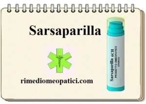 Sarsaparilla