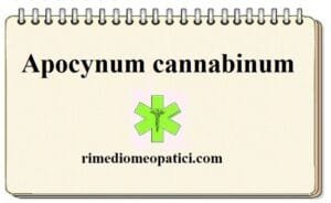 Apocynum cannabinum