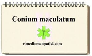 Conium maculatum 