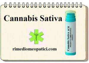 Cannabis Sativa