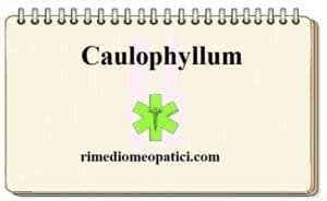 Caulophyllum 