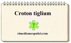 Croton tiglium