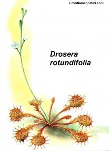 Crespino - Drosera - image DROSERA-217x300 on https://rimediomeopatici.com